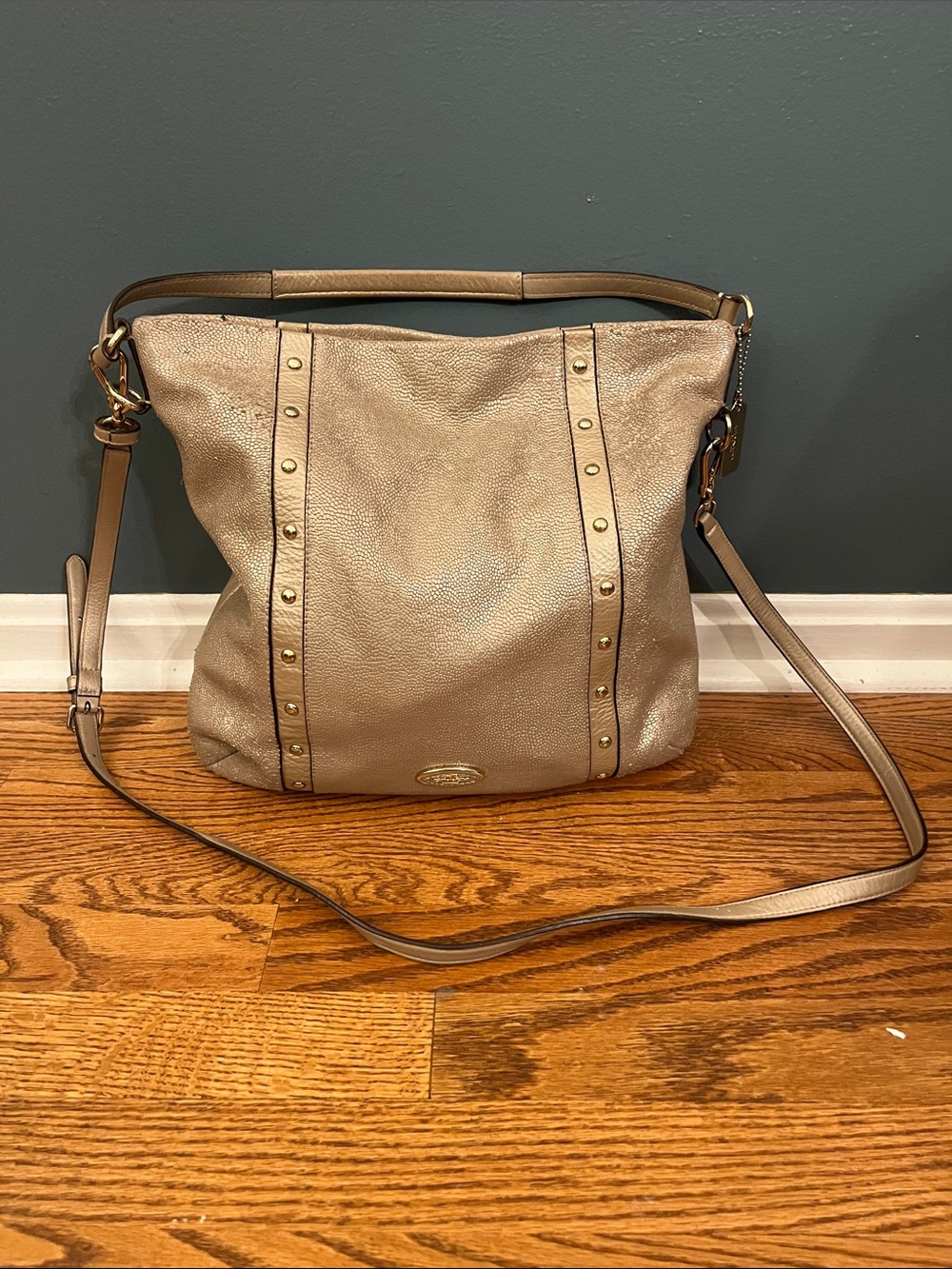 Coach Metallic Pebbled Leather Shoulder Bag in Champagne Gold F34513